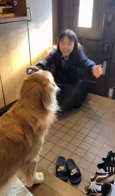 玄関で両手を広げる女の子と犬