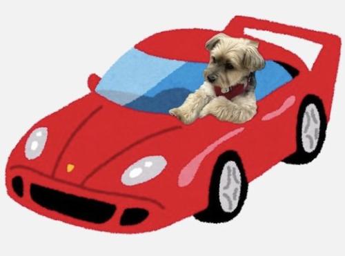 赤いスポーツカーに乗った犬の合成画像