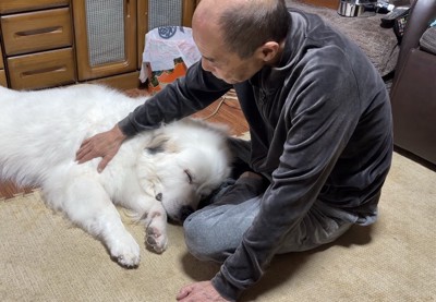 おじいちゃんに顔を寄せる犬