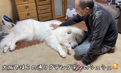 体を伸ばして横たわる犬