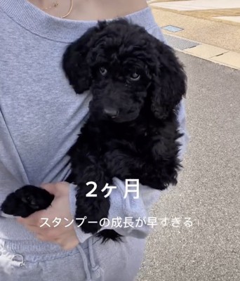 まだまだ小さな赤ちゃん犬