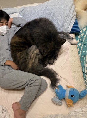 お兄ちゃんが心配なのかな?