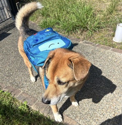 ピカピカのリュックでお出かけ