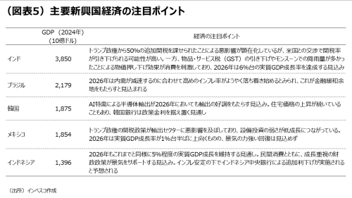 (図表5)主要新興国経済の注目ポイント