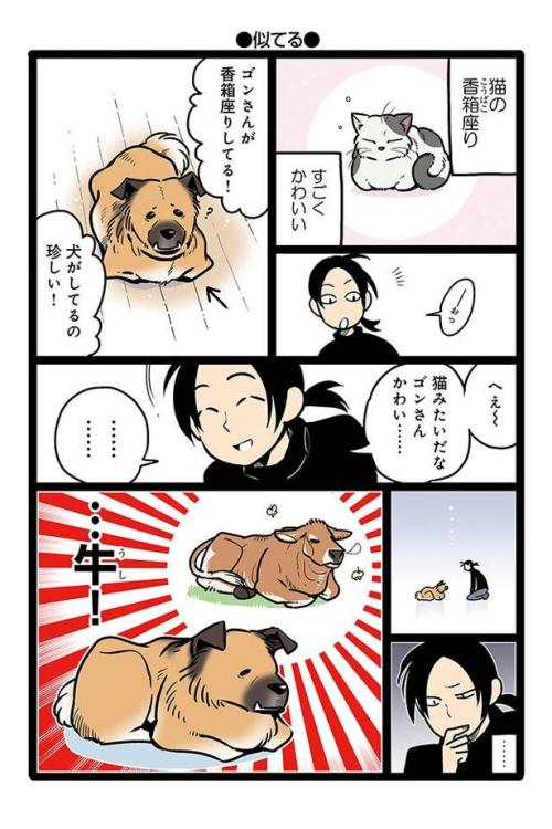 漫画 犬なのに猫がよくやる 香箱座り でも連想されるのは違う動物 雑種犬ゴンさんがダサかわいい 3