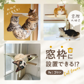 窓枠につけるキャットタワー!「ねこゴロン」シリーズ 売れ筋商品が30%OFF!お得なセールを2025年11/20(木)~期間限定開催