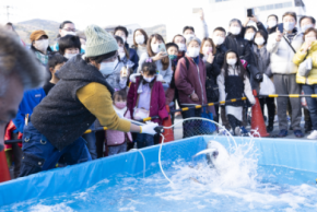 「第32回伊東温泉めちゃくちゃ市」　1/24(土)、1/25(日)に静岡で開催！