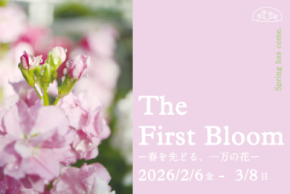 早春の草花展を中心とした、植物園の一足早い春を楽しむ『The First Bloom ―春を先どる1万の花―』を開催 2月6日(金)~3月8日(日)