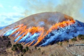 一年に一度しか見られない！伊東の春の風物詩「大室山　山焼き」が2月8日(日)開催！
