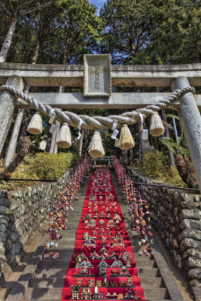 雛人形の展示段数日本一！伊豆稲取温泉「素盞鳴神社雛段飾り」2月14日～3月8日に開催