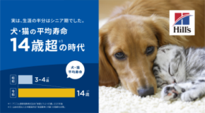 ～ヒルズ：ペットの健康のために 最先端の栄養科学を届けて50年目～　昭和・平成・令和で見る“ペットと人の関係史” 平均寿命14歳超(*1)。