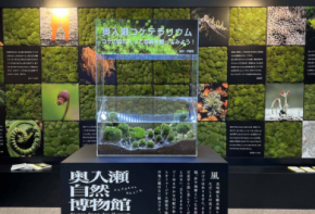 奥入瀬渓流の魅力を東京で体感　「奥入瀬移動博物館」をモンベル御徒町店で開催