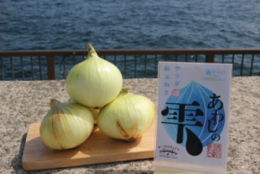 「淡路島の新玉ねぎ」の通販が解禁！毎年即完売の人気商品が道の駅あわじ公式通販サイトにて5月7日10時より販売開始