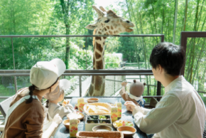 「キリンと朝食」が再開！動物園×グランピング施設『THE BAMBOO FOREST』夏限定・流しそうめん付き宿泊プランも開始