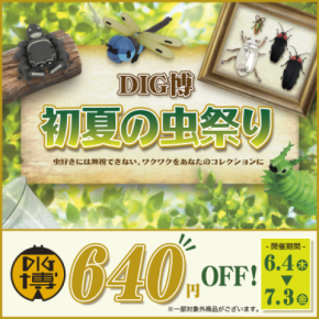 DIG博公式オンラインストアで 6月4日より「DIG博 初夏の虫祭り」を開催 「オオムラサキの幼虫ソフビ ムーちゃん」 「トガシユウスケ デザインソフビ アダンソンハエトリ」など お買い得商品を全力でご提供!!