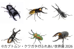 世界のレア昆虫が集結！夏休み限定イベント「カブトムシ・クワガタのふれあい世界展」8/1(土)～東京で開催　AR昆虫採集ゲーム「バグハン！」コラボブースも登場