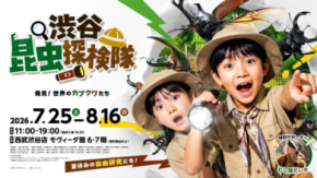 渋谷で日中から「夜の昆虫観察」ができる体験型昆虫展を開催 700体以上の昆虫が大集合！夏休みの自由研究もサポート