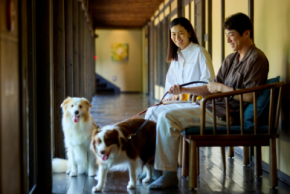 【愛犬と泊まれる古民家リトリート 赤城山 - 懐 - 】愛犬ファミリーの皆さまへ感謝の気持ちを込めて 愛犬2頭まで宿泊料無料の「開業1周年プラン」を販売開始!