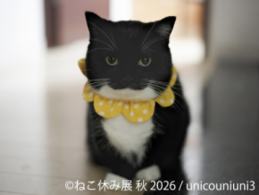 SNSで人気の猫作品が名古屋に集結！「ねこ休み展 秋 2026」を 9/19(土)より開催！初参加の注目猫や特別POP UP EVENTも登場