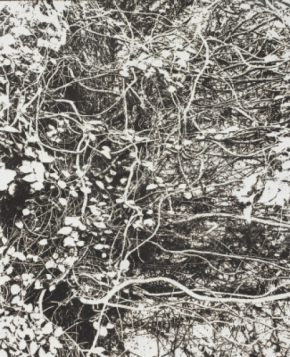 線香で画を描くアーティスト市川孝典、個展「FLEETING DAYS」 の開催が決定