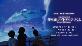 沖縄美ら海水族館、幻想的な夜の水族館を楽しめる「美ら海ナイトアクアリウム」8月1日より開催！