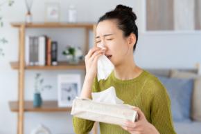 花粉症の悩み、最多は「仕事・家事の集中力低下」97%が生活に影響!薬に頼らないケアを求める声も