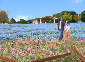 足立区・舎人公園、ネモフィラブルーと幻想的な光の演出が楽しめる「花と光のムーブメント 舎人公園~ネモフィラと百花の花景色~」4月10日より開催!