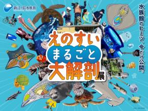 新江ノ島水族館、「えのすいまるごと大解剖展」7月3日より開催！スタンプラリー開催や限定グッズも登場
