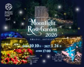 いばらきフラワーパーク、秋バラ800品種とマリーゴールド2万輪が輝く「Moonlight Rose Garden2026」が10月10日より開催!