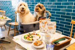 愛犬とおそろいの素材の食事が楽しめるドッグカフェが横浜に! ユニ・チャーム「Frecious 素材実感Cafe」が期間限定で開催